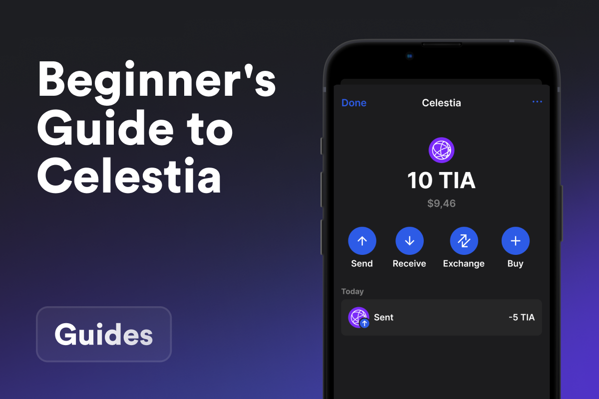 A Beginner's Guide to Celestia Blockchain