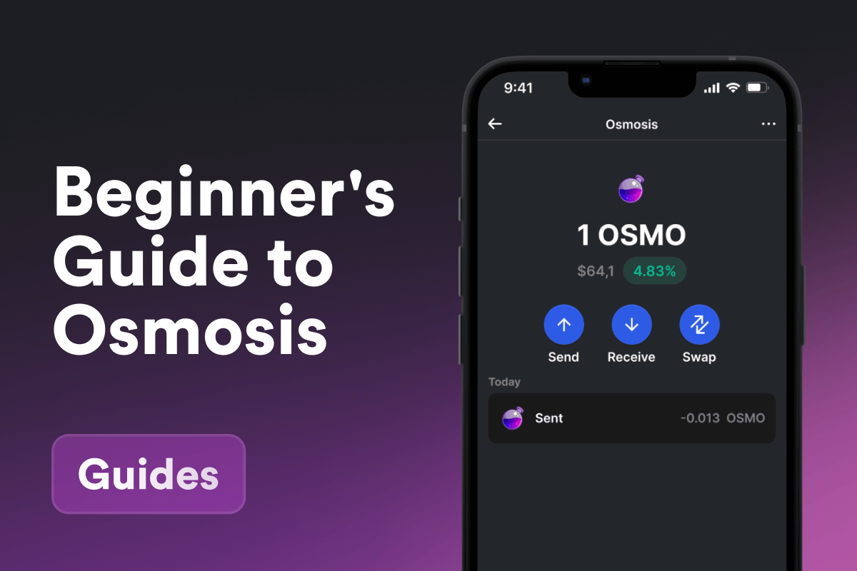 A Beginner's Guide to Osmosis Blockchain