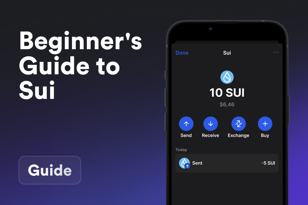 A Beginner's Guide to Sui Blockchain